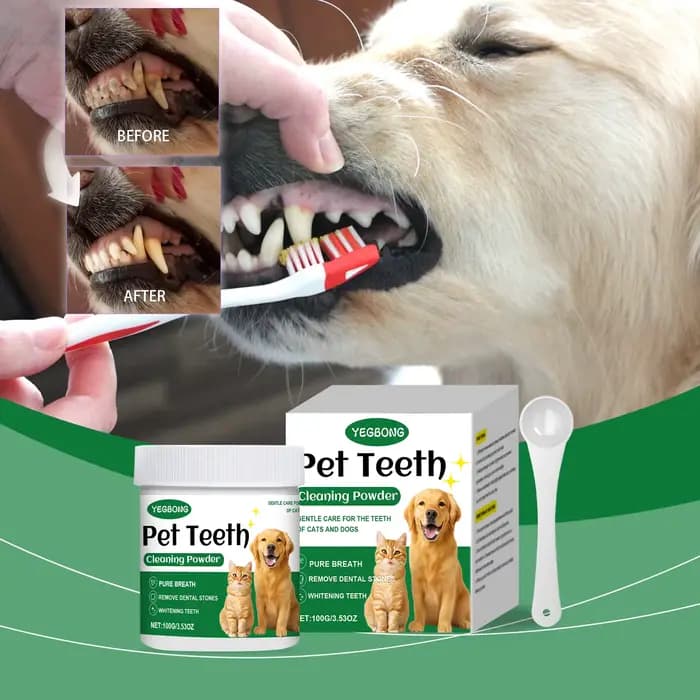 Poudre nettoyante pour dents d'animaux de compagnie pour chats et chiens, réduit le tartre et la pla