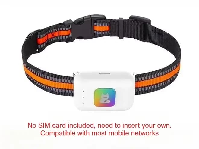 Collier GPS intelligent 4G pour chiens et chats, sans frais mensuels, sans abonnement, sans frais ca