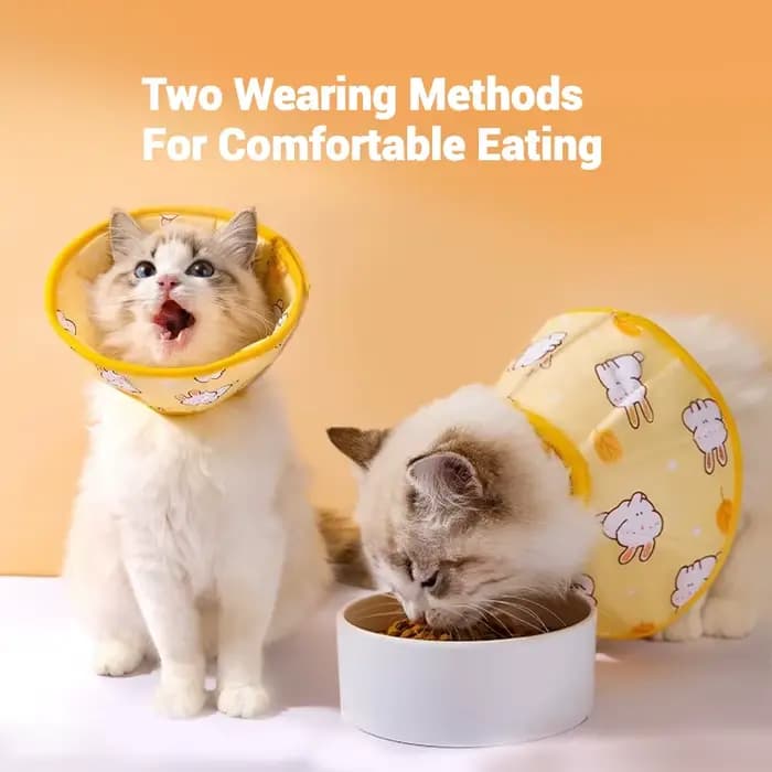 Collier Anti-morsure pour Animaux de Compagnie, Guérison des Plaies de Chat, Élisabéthain, Protectio