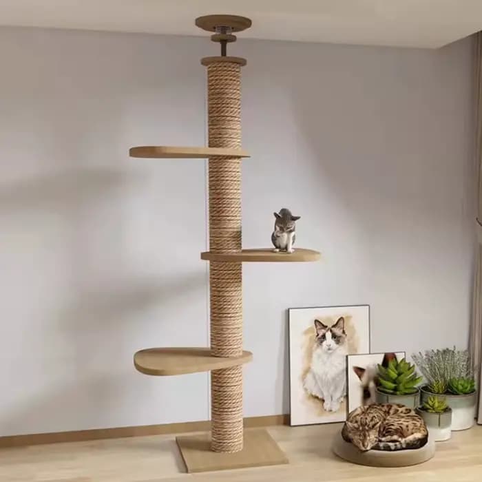 Plancher d'arbre pour chats, meubles en bois massif pour animaux de compagnie, tour d'arbres multifo