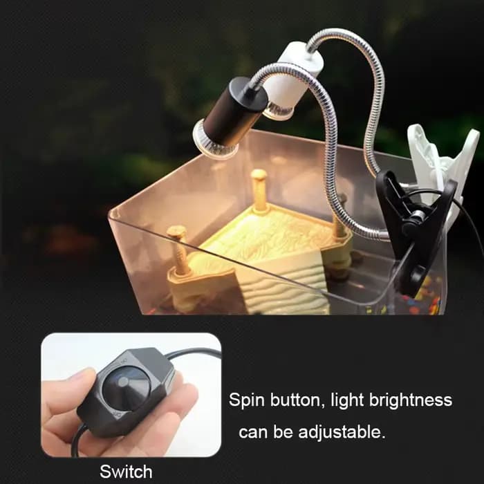 Kit de lampes chauffantes UV remboursables pour animaux de compagnie, support d'ampoule à clipser, é