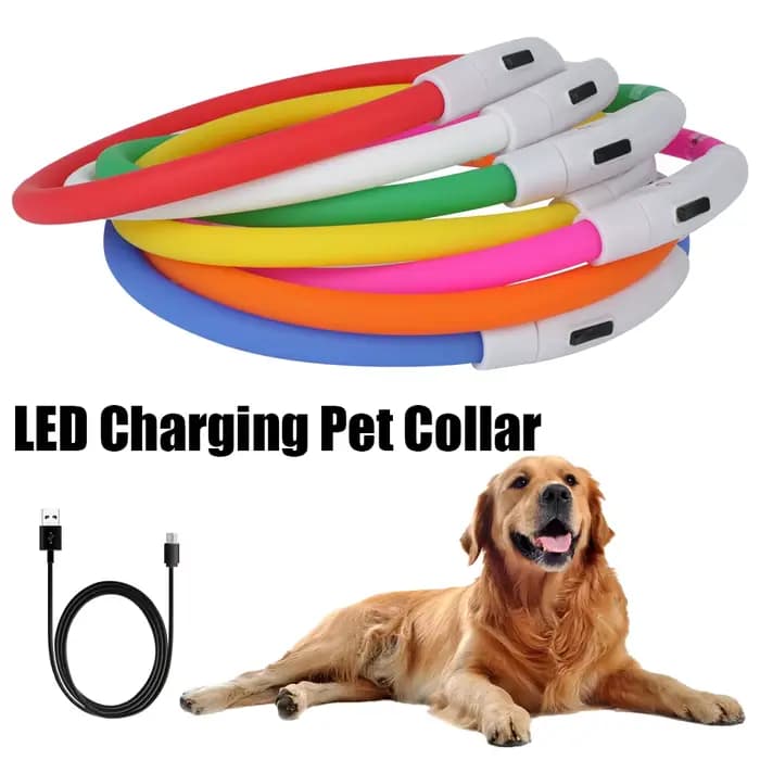 Collier de prévention de la perte de chien Led Usb, accessoires pour animaux de compagnie, sécurité 