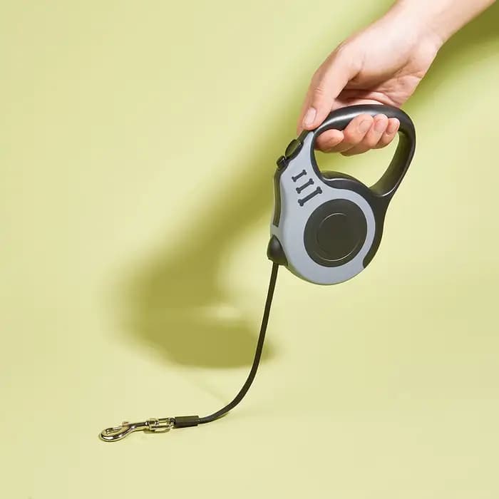 Laisse pour chien de 3m 5m, pour petits et moyens chiens, corde en Nylon rétractable automatique, Ex