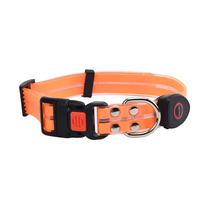 Collier lumineux pour animaux de compagnie, laisse LED clignotante, chargement USB, ceinture de trac