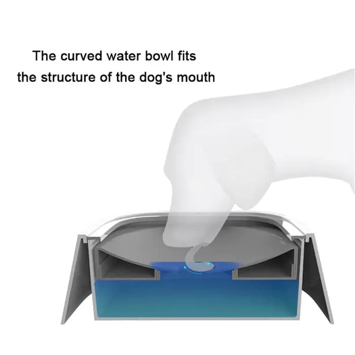 Bol à eau pour chien personnalisé anti-déversement, flottant, ne mouillant pas la gueule, distribute