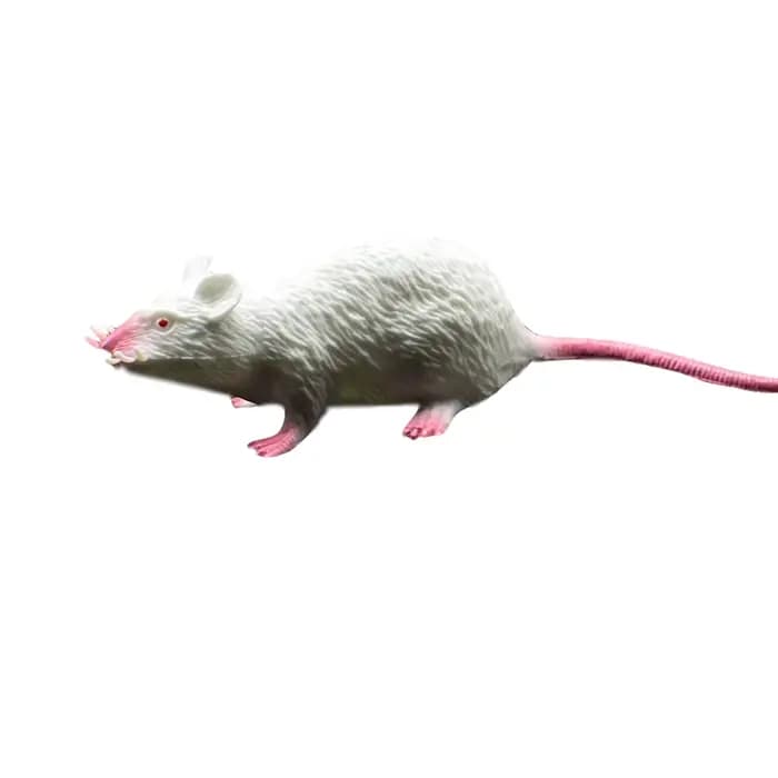 Fausse petite souris réaliste, modèle de souris factice, accessoire effrayant, jouet de farce, décor