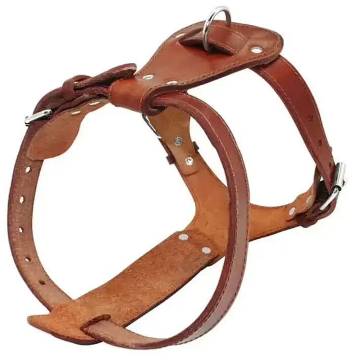 Harnais en cuir véritable pour chien et chat, marron, gilet d'entraînement à la marche, bretelles ré