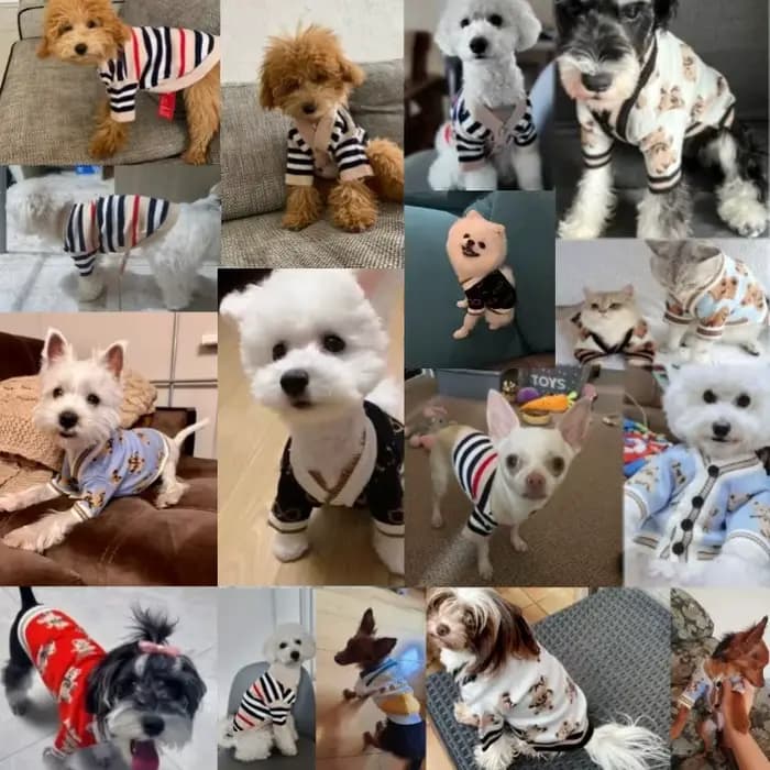 Vêtements de luxe pour petits chiens, pull chaud d'hiver pour Chihuahua bouledogue français, article