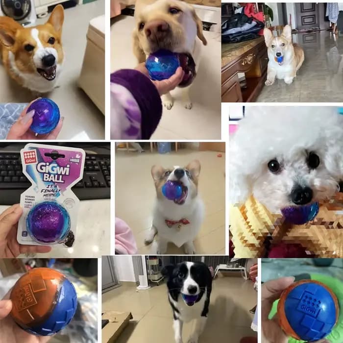 Jouets à mâcher grinçants pour animaux de compagnie, son pur, caoutchouc naturel non coupé, jeu en p