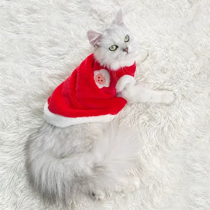 Pull en peluche lapin pour chaton et chat âgé, chaud, lavable en machine, design souple, ultra doux,