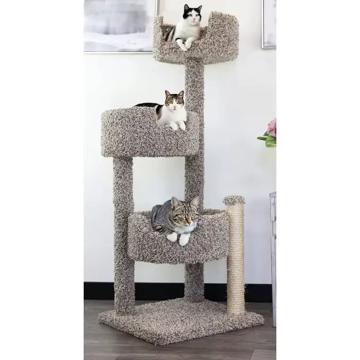 Arbre à chat en bois véritable et tapis, moucheté