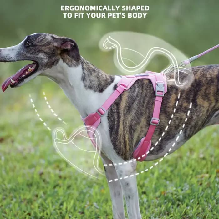 Harnais respirant pour chien, gilet réfléchissant sans traction pour animaux de compagnie, pour peti