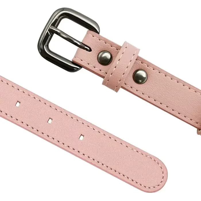 Pour Apple Airtag traqueur de protection étanche chien de compagnie Anti-perte positionnement Silico