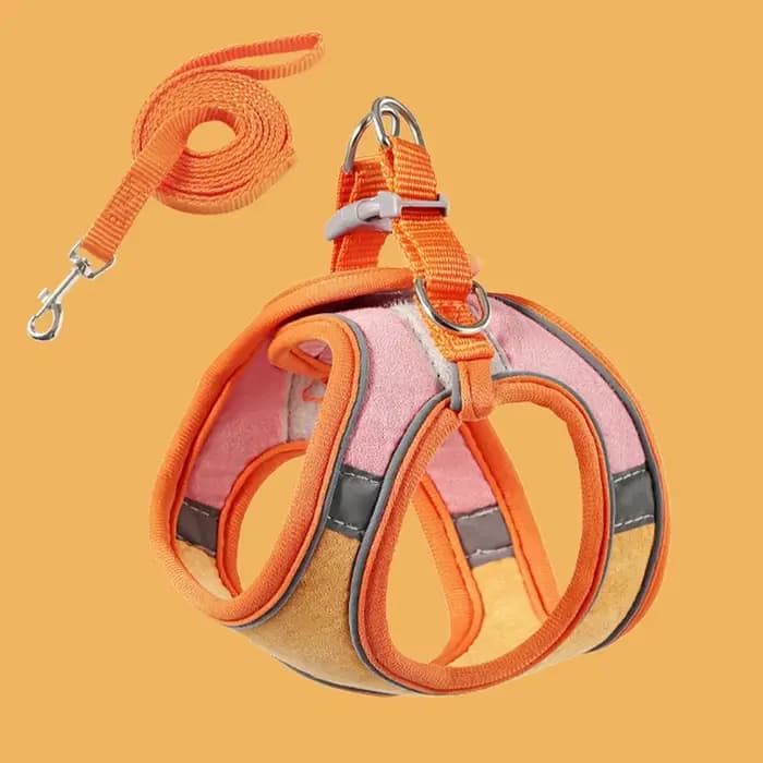 Ensemble de laisse et de collier pour chat, anti-fuite, pour chiot, lapin, chaton, harnais avec cloc