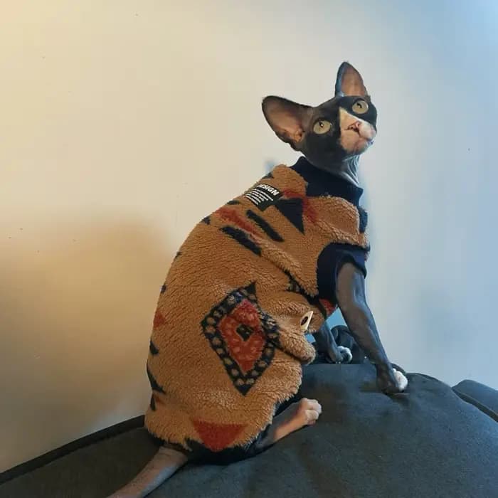 Gilet chaud de Noël pour chats Chat Pull Chatons Polaire Chaude Manches Courtes Marron Sweat-shirt C