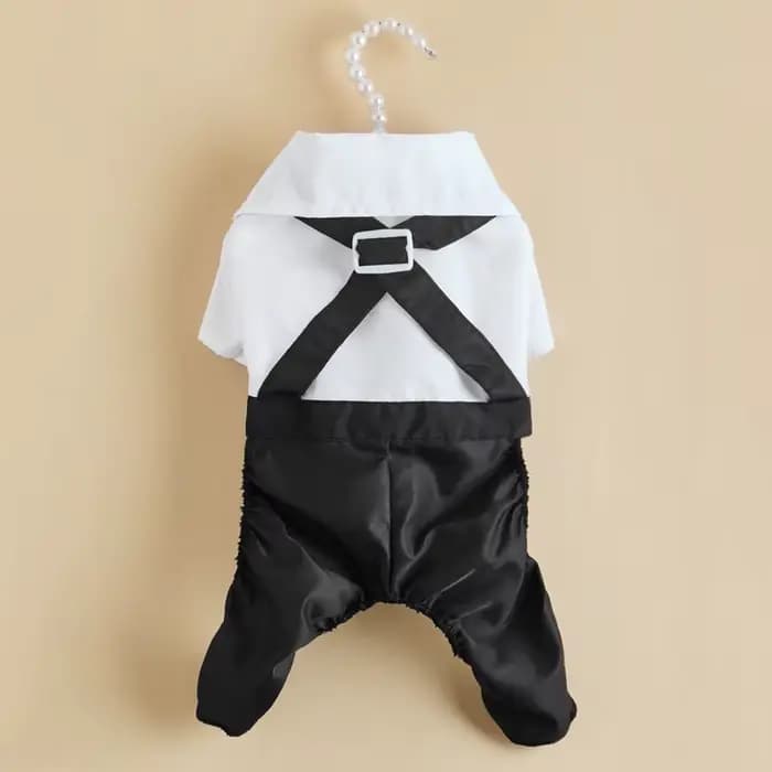 Costume occidental pour hommes pour chats, vêtements formels pour chats, Festival, mariage, Costumes