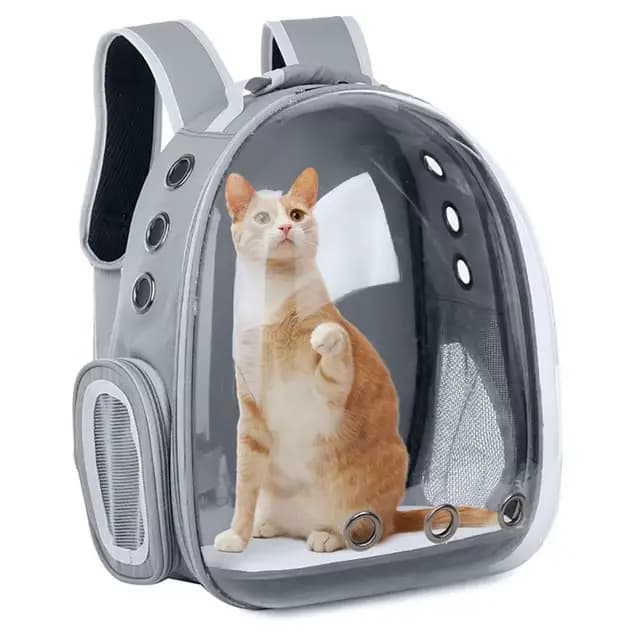 Sac de Transport pour animaux de compagnie, sac à dos de voyage Portable et respirant pour animaux d
