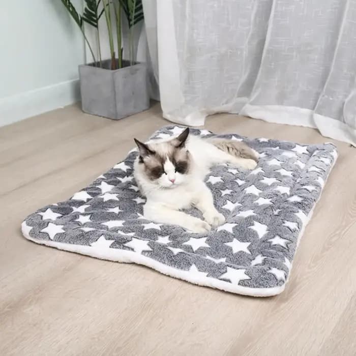 Tapis pour animaux de compagnie en flanelle, lit pour chien et chat, tapis de couchage épais, couver