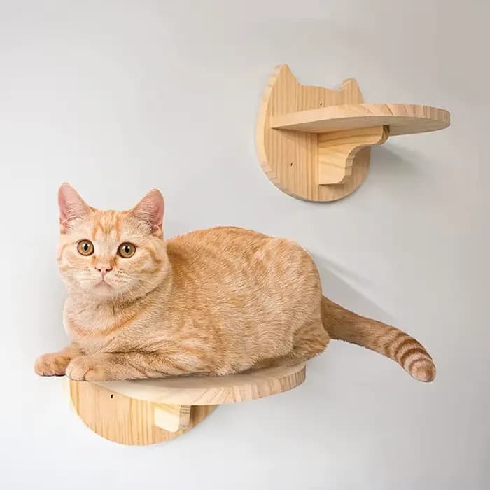 Étagère d'escalade murale pour chat, marches, échelle, poste à gratter, lit caché, maison pour chats