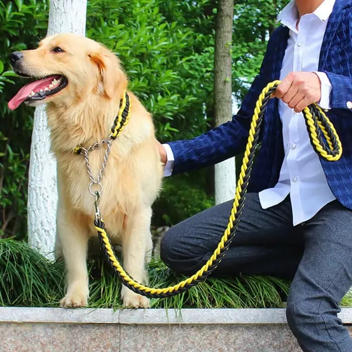 Corde à Double brin pour grands chiens, laisse en métal, boucle en chaîne P, contraste coloré, corde