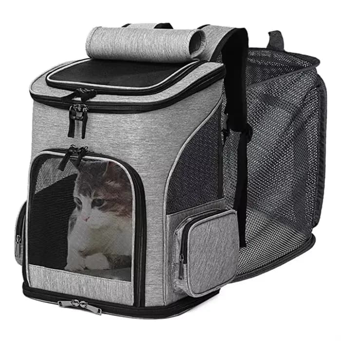 Sac à dos de Transport respirant pour animaux de compagnie, pliable, extensible, grande capacité, sa