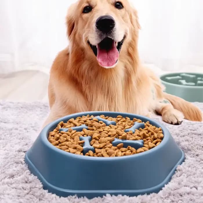 Filles à Nourriture Lente Anti-étouffement pour Animaux Domestiques, pio en Plastique PP, Assiette p