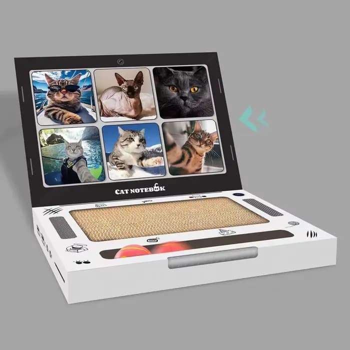 Grattoir pour chat en forme d'ordinateur portable, durable, anti-déchirure, jouet d'entraînement des