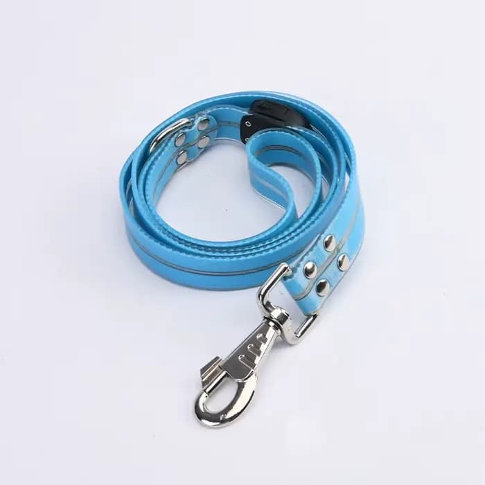 Collier lumineux pour animaux de compagnie, laisse LED clignotante, chargement USB, ceinture de trac