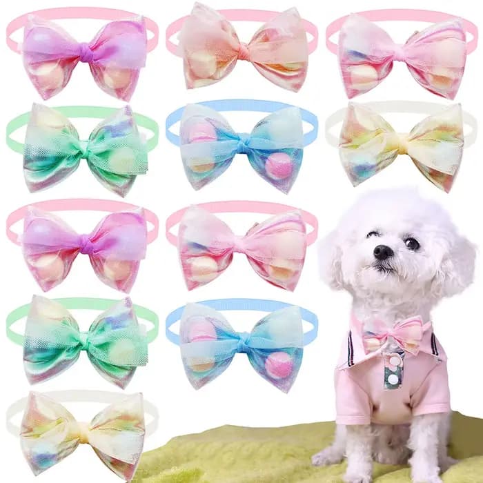 50 pièces nœuds papillon en dentelle pour petit chien collier de chien réglable collier de chat pomp