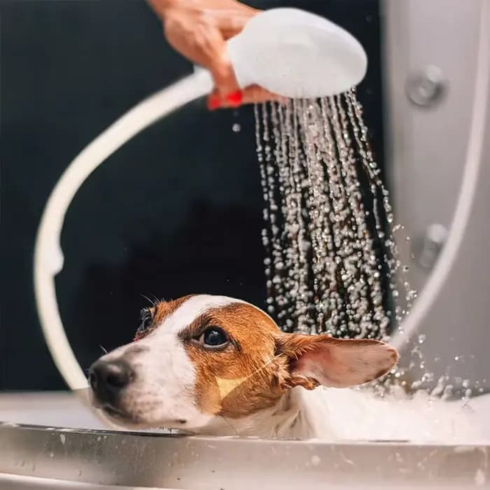 Douche de bain pour animaux de compagnie, douche multifonctionnelle pour chien et chat, bain facile,
