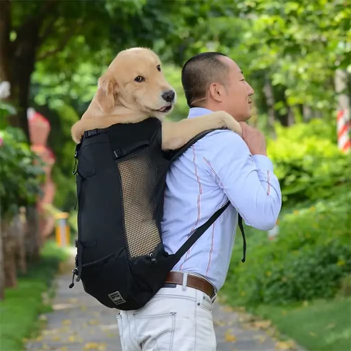 Sac à dos de transport pour animaux de compagnie, pour voyages, promenades et conduite, pour chiens 