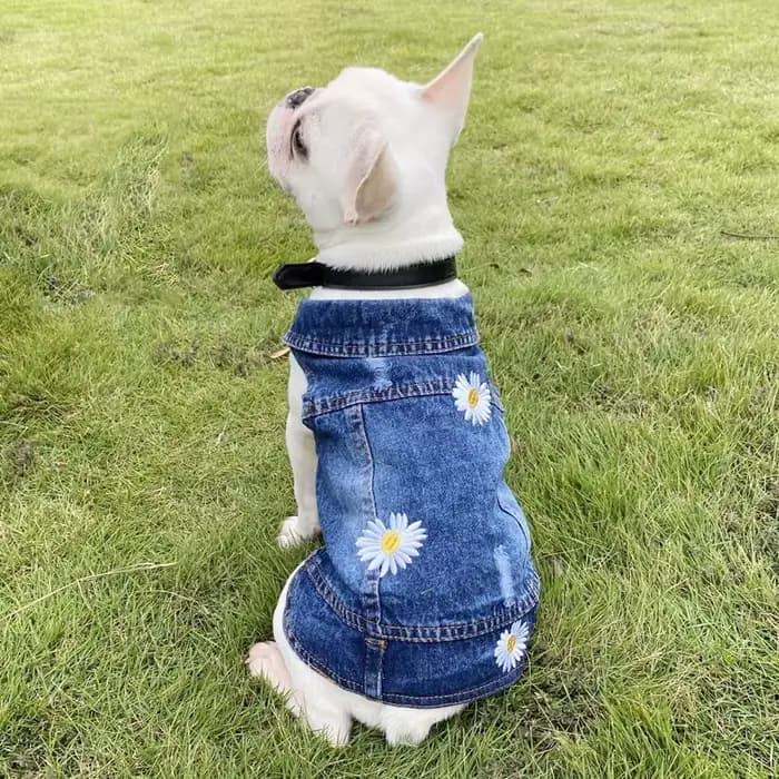 XS-2XL Denim chien vêtements Cowboy chien manteau chiot vêtements pour petits chiens jean veste chie