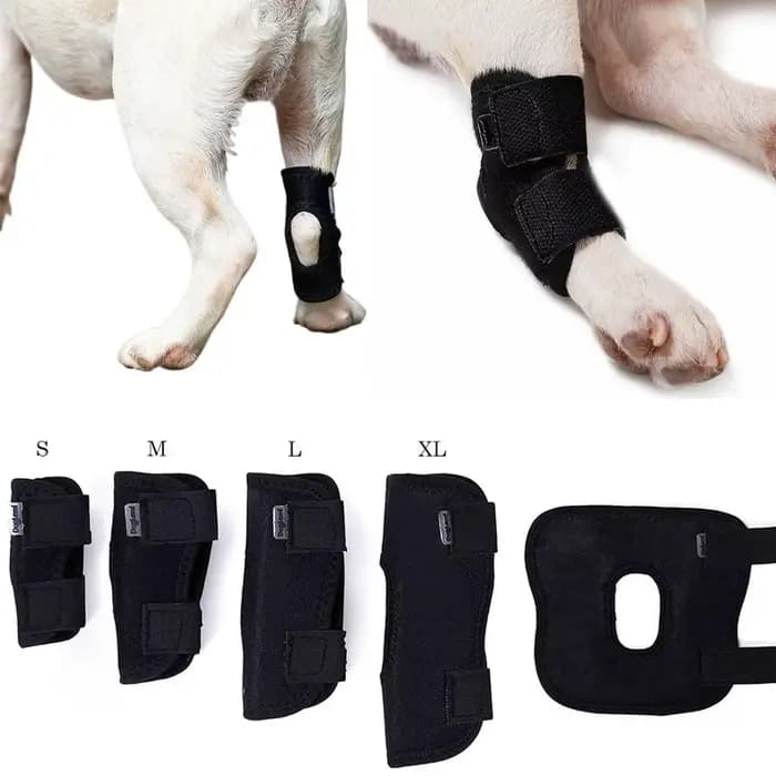 Protection de la bandage pour chien, couverture de protection contre l'arthrite, soutien des jambes 
