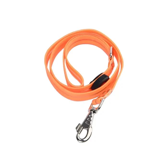 Collier lumineux pour animaux de compagnie, laisse LED clignotante, chargement USB, ceinture de trac