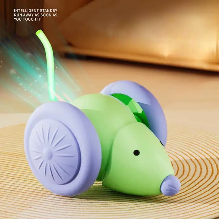Jouet interactif pour chat, souris électrique, voiture, Teaser automatique, chaton, jouets pour anim