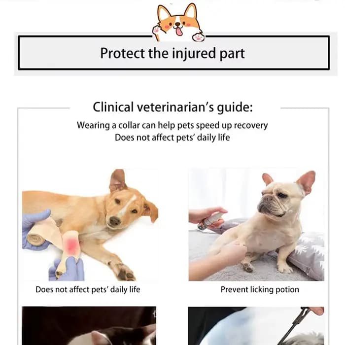 Collier élisabéthain imperméable pour animaux de compagnie, anneau souple pour chat, chien, guérison