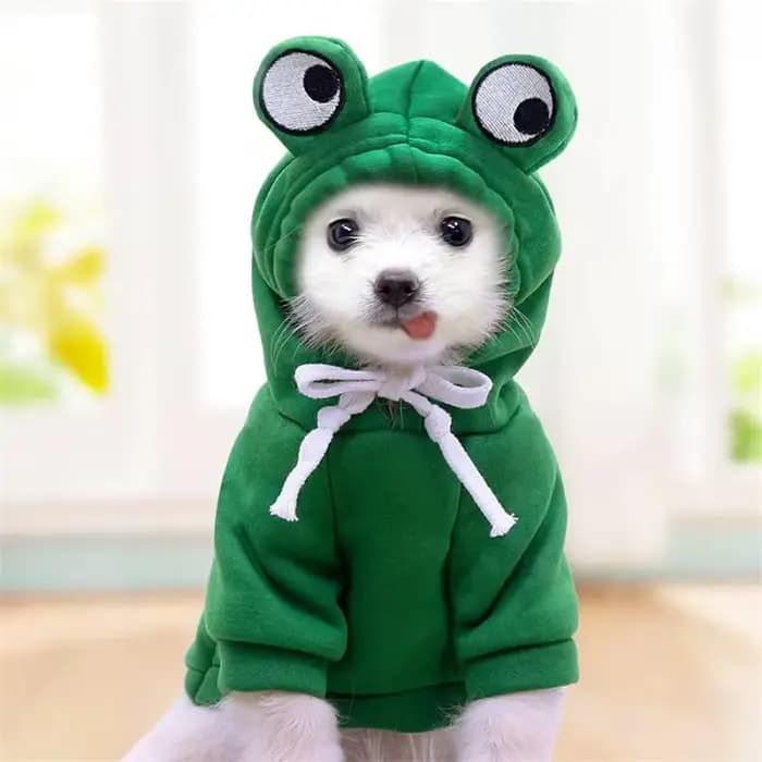 Sweat à capuche pour animaux de compagnie, vêtements pour chiens, bouledogue français, vêtements pou
