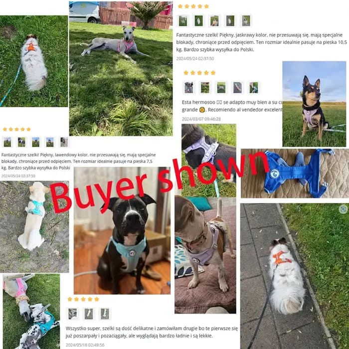 Harnais respirant pour chien, gilet réfléchissant sans traction pour animaux de compagnie, pour peti