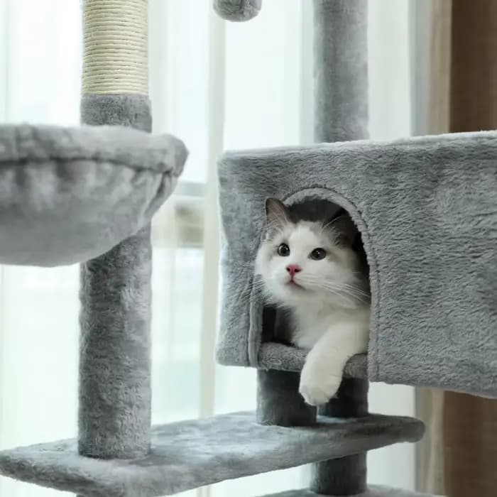 Arbre à Chat pour Grands Chats Adultes avec Super Grand Perchoir Supérieur, Tour pour Grands Chats a