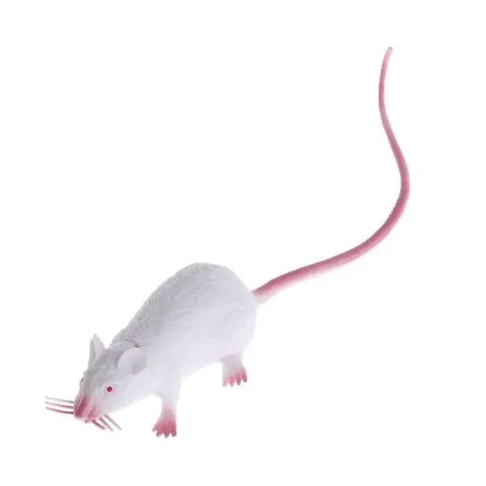 Faux petit Rat réaliste, modèle de souris, accessoire effrayant, jouet de farces, décor de fête d'ho