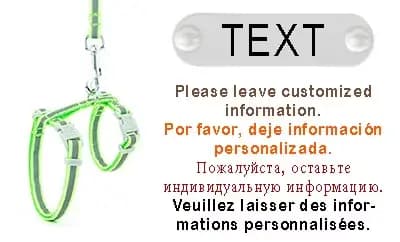 Harnais réfléchissant personnalisé en Nylon pour chat, laisse réglable pour chiot et chaton, harnais