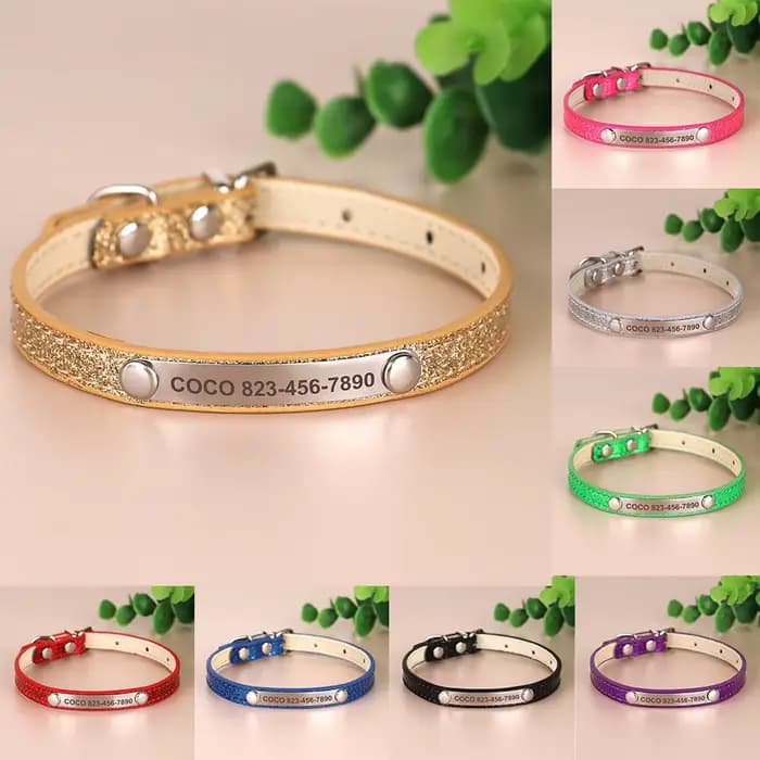 Collier d'identification Anti-perte pour chat, collier personnalisé pour chiot et chat, étiquette de