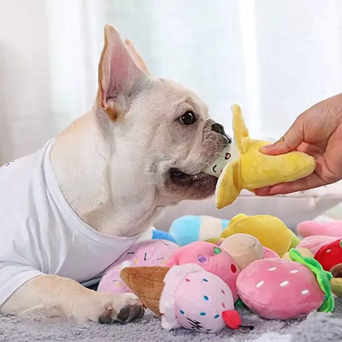 Jouets grinçants en peluche pour chiot, 1 pièce, pour petits et moyens chiens, masticateurs agressif