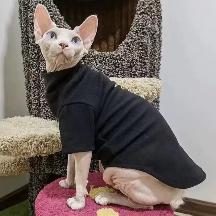 Vêtements d'hiver épais pour chat Sphynx, vêtements pour petits chiens et chats, pull doux et chaud,