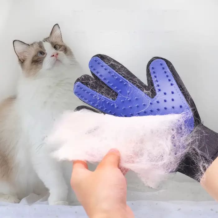 Gant de toilettage pour animaux de compagnie, gant de toilettage pour poils de chat, brosse de démêl