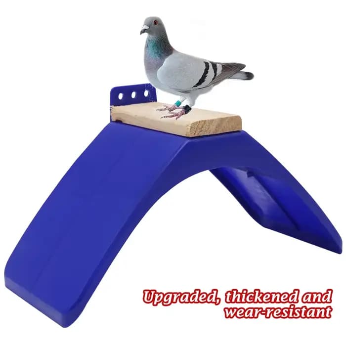 Cadre de perchoirs pour Pigeon, 20 pièces, support de repos pour colombe, cadre pour oiseaux volanté