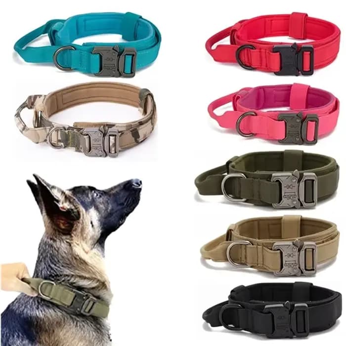 Ensemble collier et laisse tactiques militaires pour chien, collier durable pour animaux de compagni
