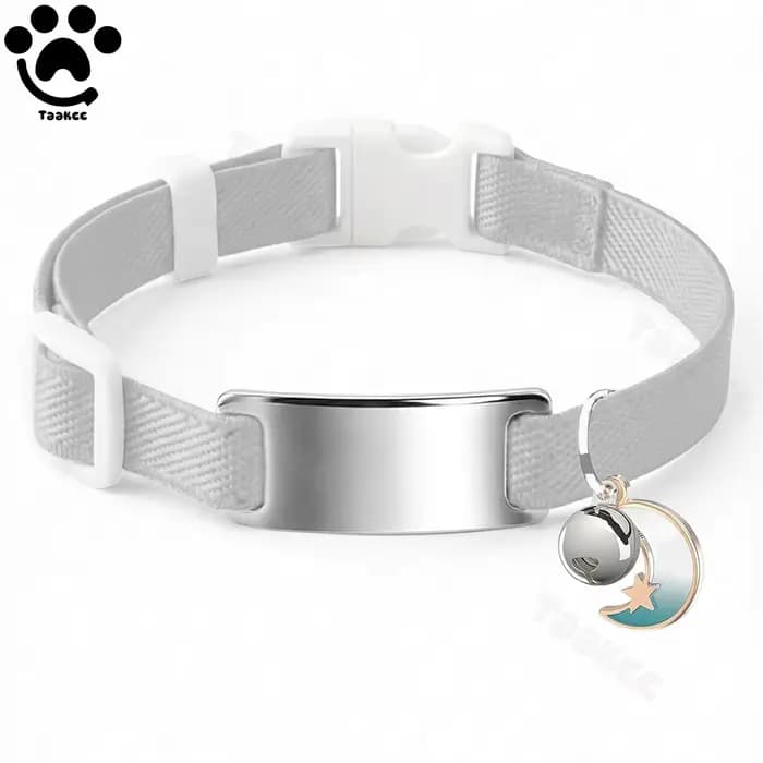 Collier élastique personnalisé pour chat, gravure gratuite, collier d'identification anti-perte pour
