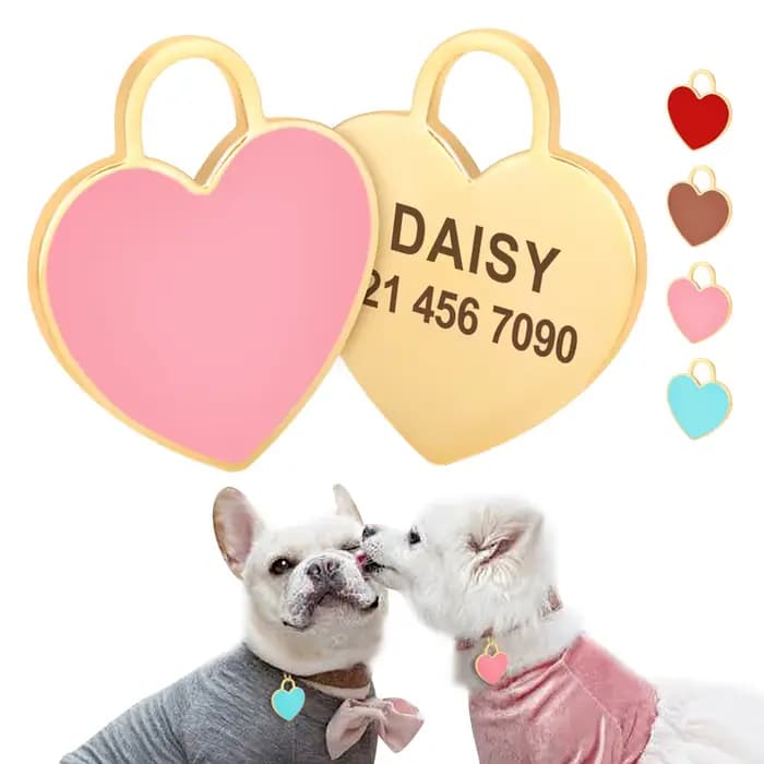 Étiquette d'identification de chien personnalisée gratuite, pendentif de plaque signalétique pour ch
