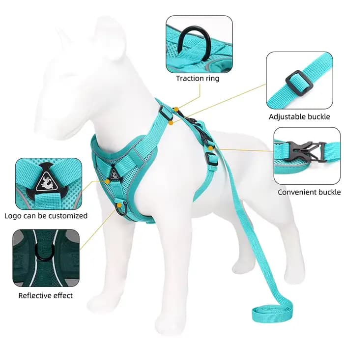 Harnissan-Laisse SFP pour chien et chat, collier, sangles, bouledogue, petit, moyen chien, chiot, bi